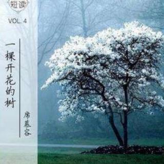 《一颗开花的树/长城谣》席慕容