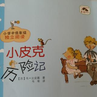 《小皮克历险记》之《建立家园》