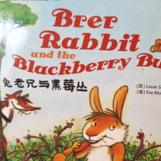 Brer rabbit and blackberry bush