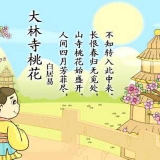 古诗欣赏——《大林寺桃花》