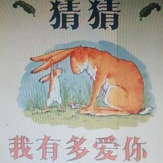 《猜猜我有多爱你》