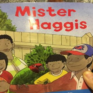 牛津树分级阅读三mister haggis