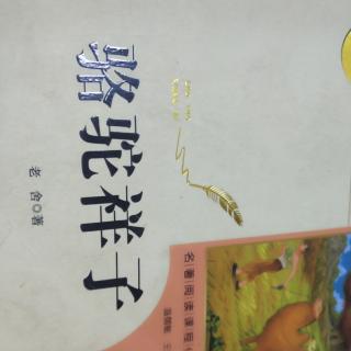 《骆驼祥子》。