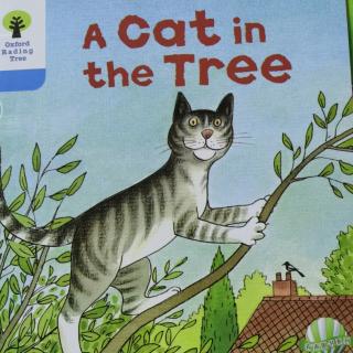 A Cat in the Tree