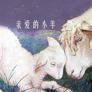 童话绘本｜亲爱的小羊