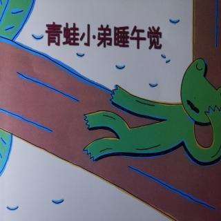 青蛙🐸小弟睡午觉