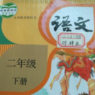 13.画杨桃