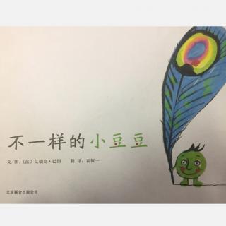 不一样的小豆豆