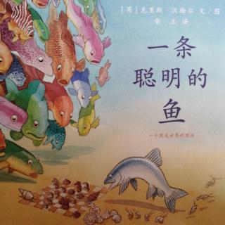 8.一条聪明的鱼🐟