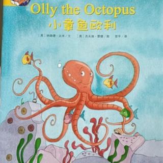 《Olly The Octopus》