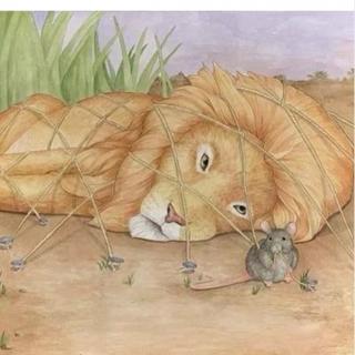 睡前小故事——狮子和老鼠🐭