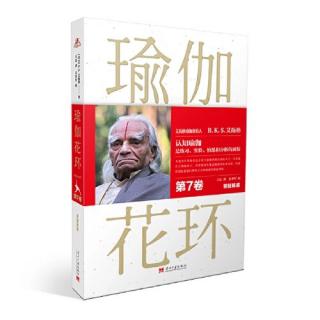 1.11 给帕坦伽利做注释是一项极具挑战的工作