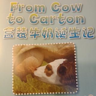 之湛演绎： From Cow to  Carton