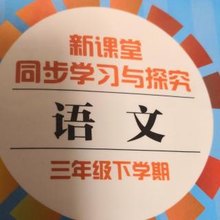 两颗种子