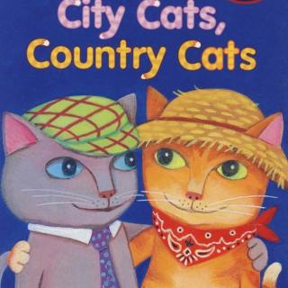 《城里的猫和乡下的猫》