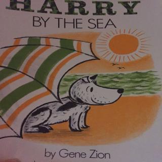 Harry by the sea