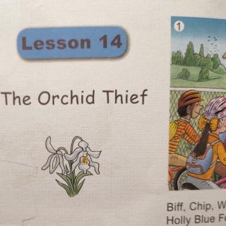 The orchid thief