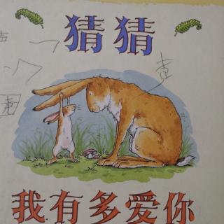 【绘本故事】猜猜我有多爱你