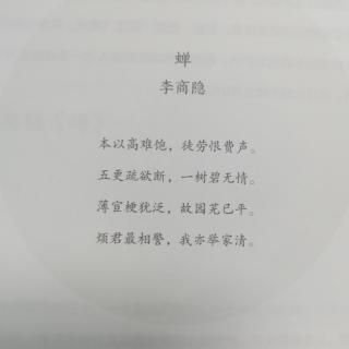 人生五味《蝉》