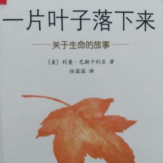 《一片叶子落下来》