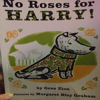 No roses for harry