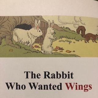 The Rabbit Who Wanted Wings