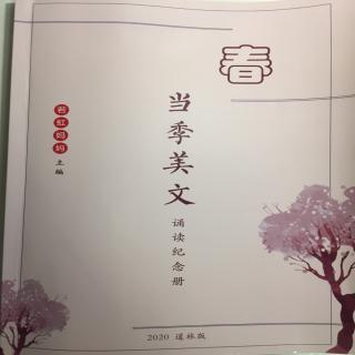 春4 新年是什么