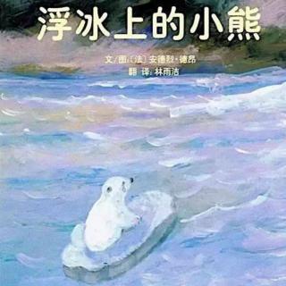 浮冰上的小熊