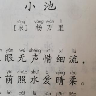 古诗《小池》