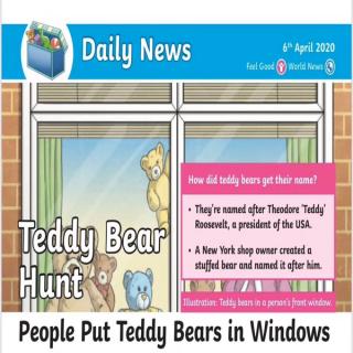 daily news Teddy bears inwindows