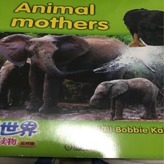 animal mothers