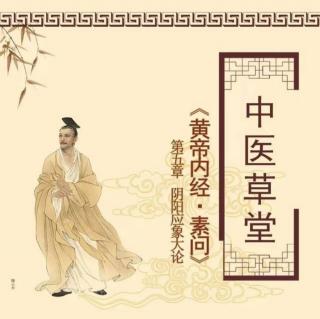 20黄帝内经（凌耀星讲稿版）（以阴阳理论解释病理）