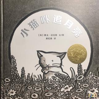 小猫咪追月亮