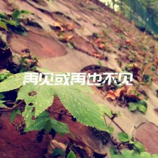 绝症还治吗-暴雨调频 Vol.15