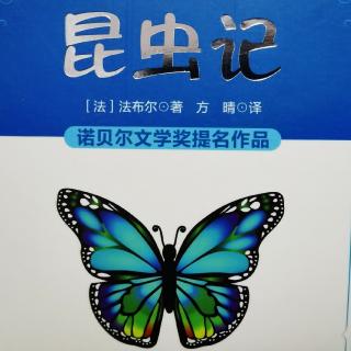 《昆虫记》——圣甲虫（上）