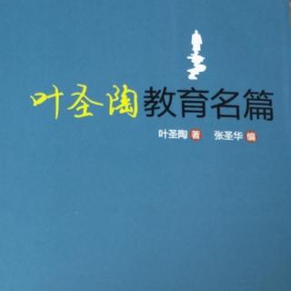 《叶圣陶教育名篇》27.专供学生应试用的书籍