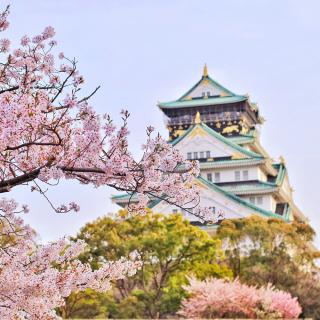 面朝大海，春暖花开 - 李荷衣