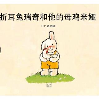 折耳兔瑞奇和它的母鸡米娅