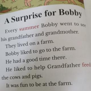 A Surprise for Bobby