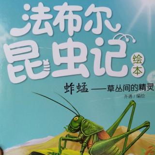 法布尔昆虫记～蚱蜢——丛林间的精灵