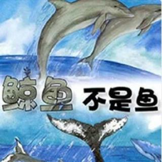 《鲸鱼不是鱼》第五十九期  韩老师