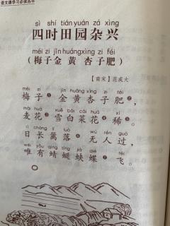 四时田园杂兴(梅子金黄杏子肥)