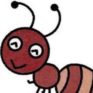 故事🌴《蚂蚁与蜻蜓》🌴兰兰老师分享