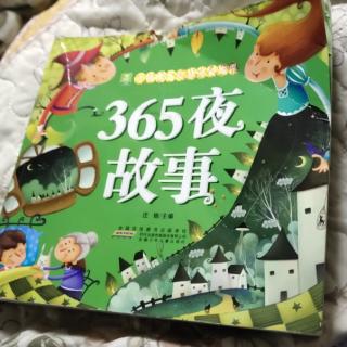 龟兔赛跑，万能预言家，下雨了。好温暖