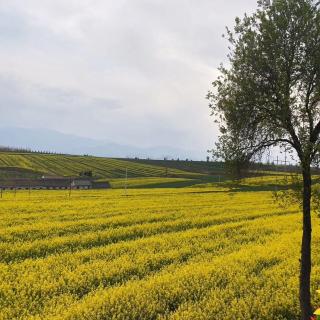 《活着》自序