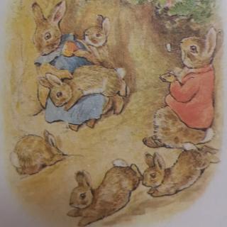 弗洛浦西家的小兔们