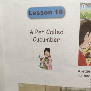 A pet called cucumber