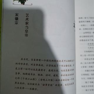 淼淼讲历史故事宋徽宗