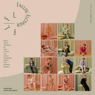 SEVENTEEN (세븐틴) - 舞い落ちる花びら（Fallin' Flower）