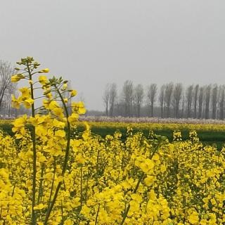 4.18幸福泉幼儿园微课堂《什么都不敢做的孩子，最让人心疼》